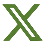 x icon