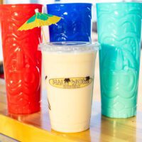 franchise opportunities