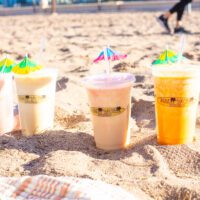 how to start a smoothie business